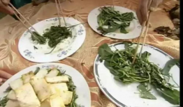 周口鹿邑吃瓜爆料事件,揭秘背后真相与网络舆论风暴