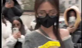 香港吃瓜爆料事件视频,真相与争议交织